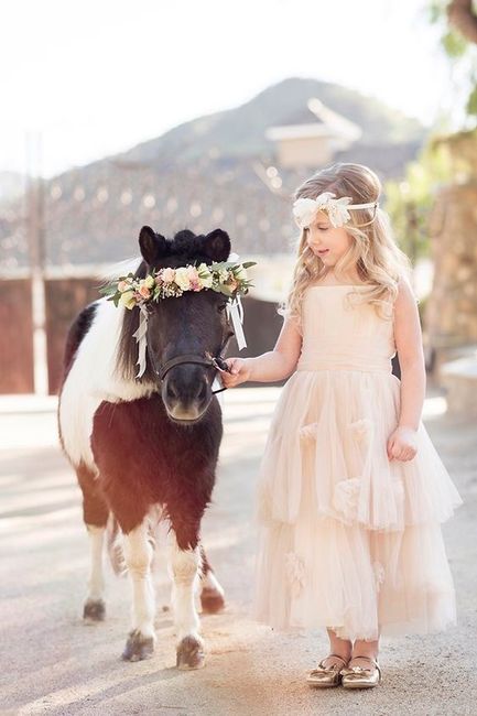 Flower girl and poney