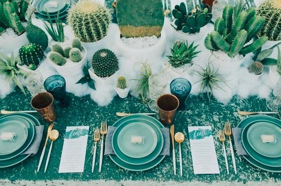 Teal and Emerald with Cactus