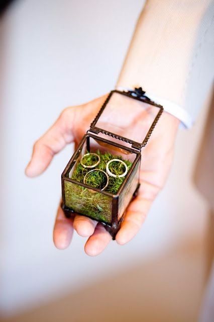 Whimsical Idea Ring Bearer