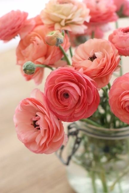 Ranunculus Centerpiece