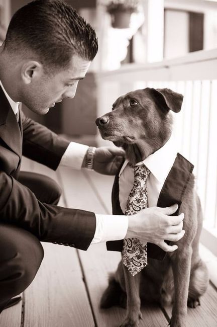 Dog Best Man