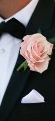 Pink Rose Boutonniere