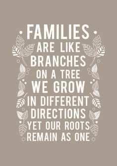 Families are like branches