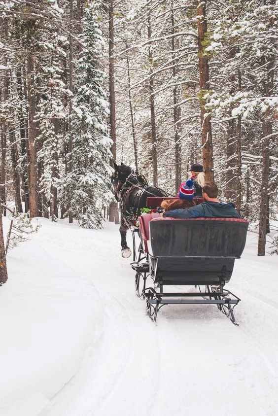 Sleigh Proposal