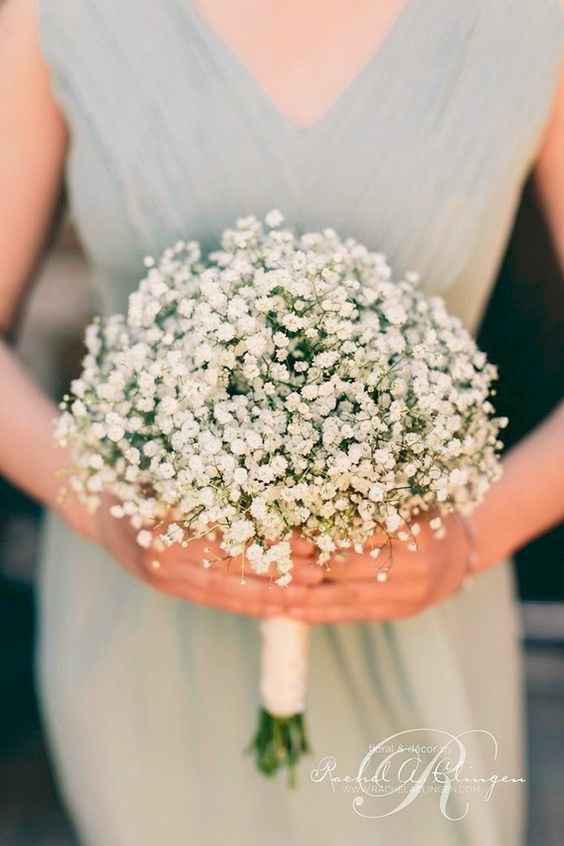 Baby breath