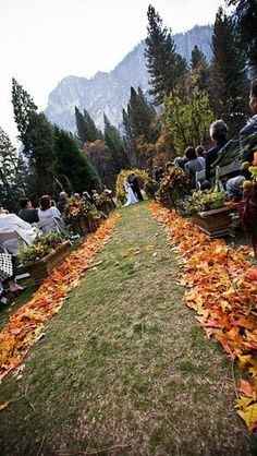 Leaves and mountain