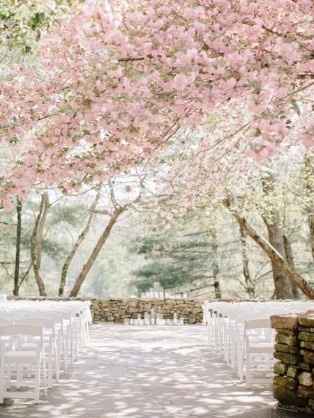 Blooming flowers