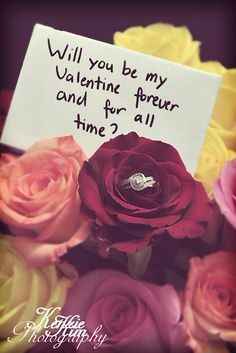 Who got engaged on Valentine's Day?