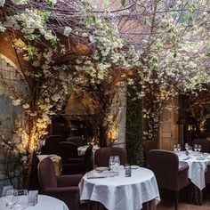 C. Your favourite restaurant