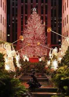 Did he propose in front of the Christmas tree?