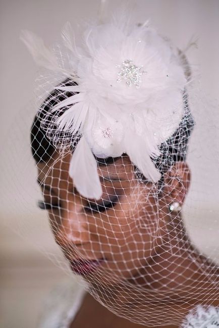 Art Deco Birdcage Veil