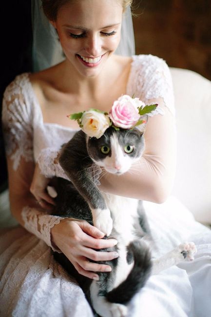 Flower Crown Cat