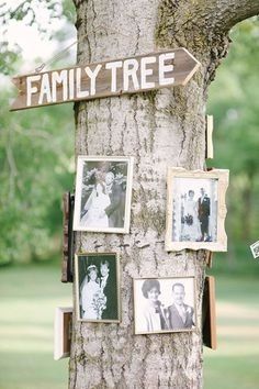 Make a family tree