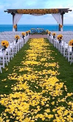 Yellow Wedding Aisle