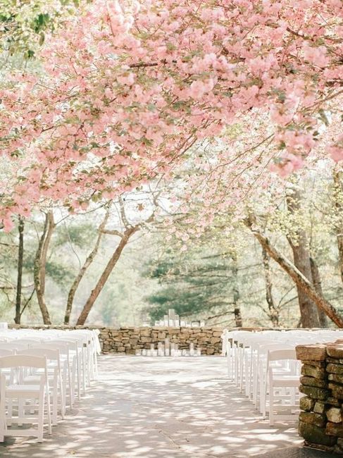 Cherry Blossom Trees Wedding Decor