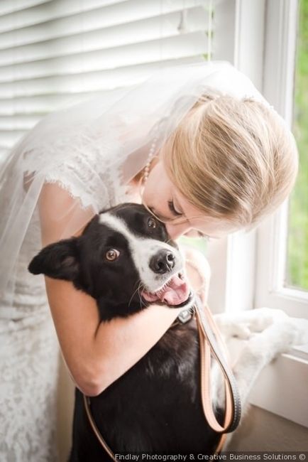 pets at wedding