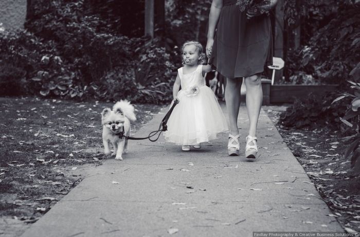 5 funny ring bearers