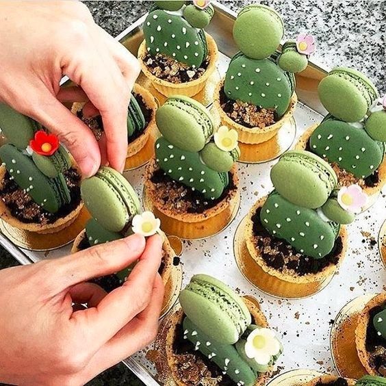 Cactus Macarons