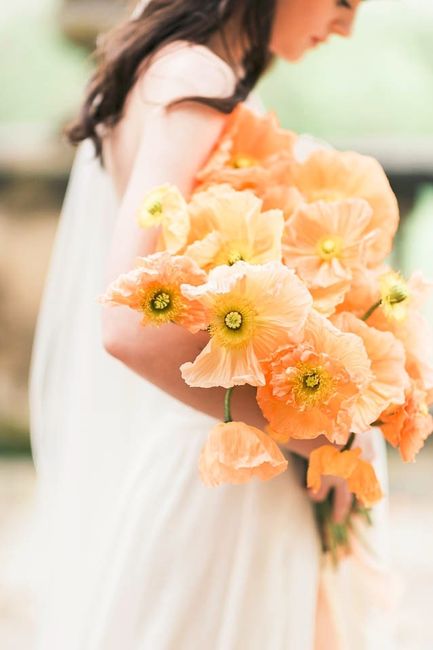 Soft Orange Poppy Bouquet