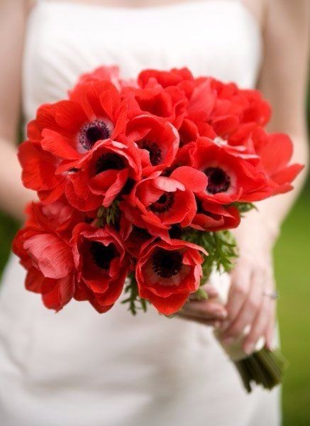 Red Poppy Bouquet