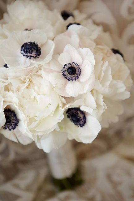 White Poppy Bouquet