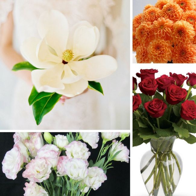 Which flowers are in season for your wedding?