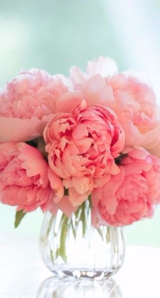 Peonies