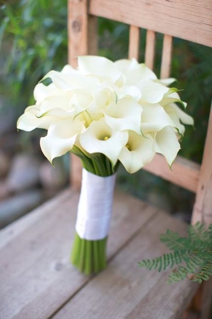 Calla Flowers