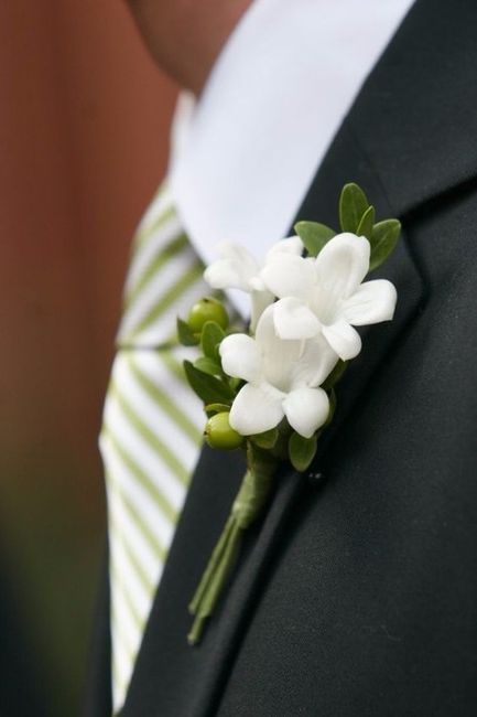 Stephanotis Flowers