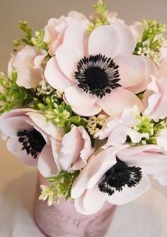 Anemone Flowers