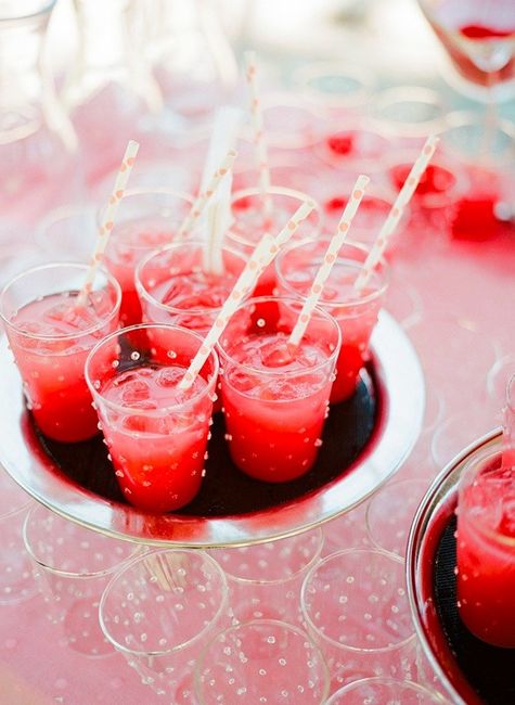 Watermelon Vodka Drink