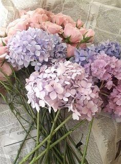 Pastel Flowers