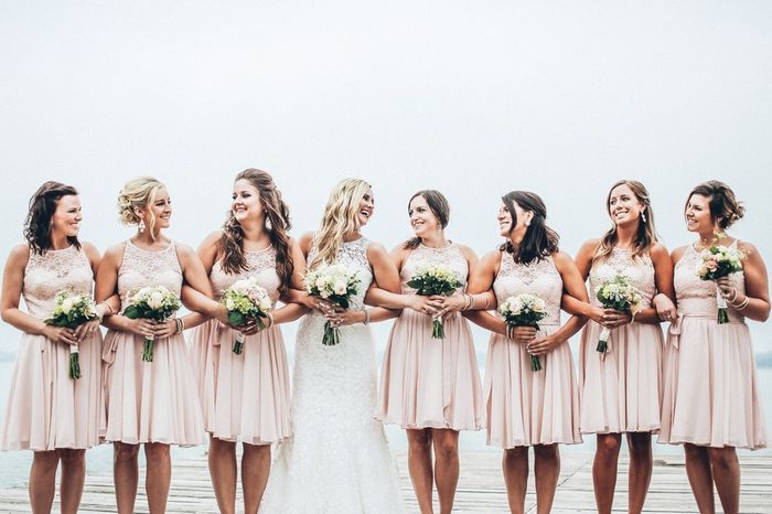 Match gown and bridesmaids