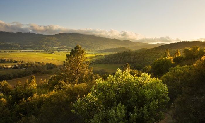 Nappa Valley, California