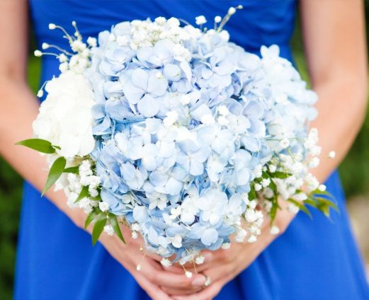 Light blue and white hydrangeas