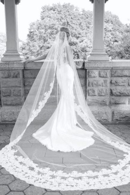 1. Long cathedral veil