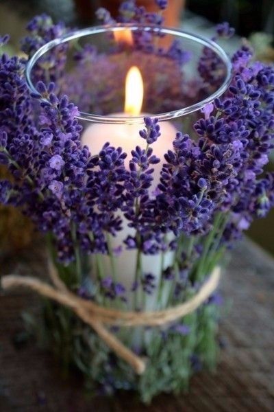 Lavender