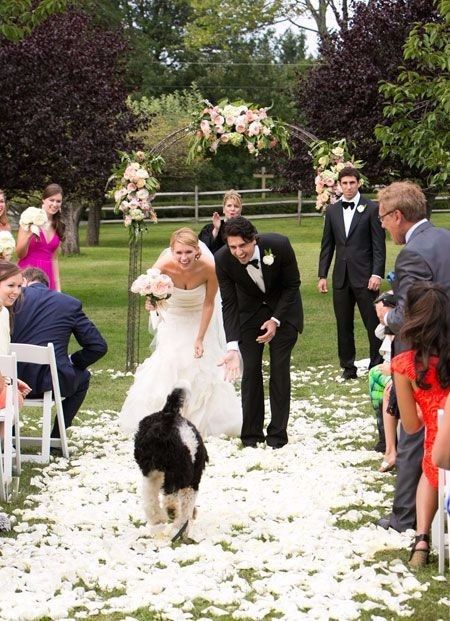 Invite your pet to your wedding