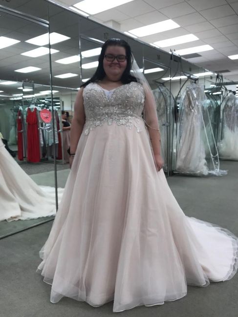 Wedding dress is dusty rose/pink , what to do for bridesmaids and a wedding theme ?! - 1