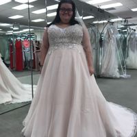 Wedding dress is dusty rose/pink , what to do for bridesmaids and a wedding theme ?! - 1