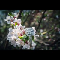 Brides of 2020!  Show us your ring!! - 1
