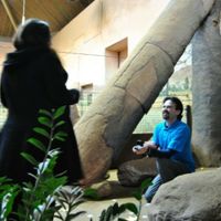 Where did your proposal take place? - 1