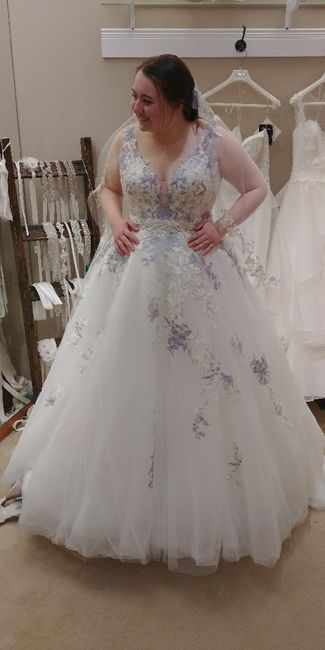 My Wedding Dress Just Changed My Wedding Colours 3