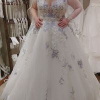 My Wedding Dress Just Changed My Wedding Colours - 1