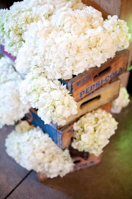 grape crates