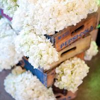 grape crates