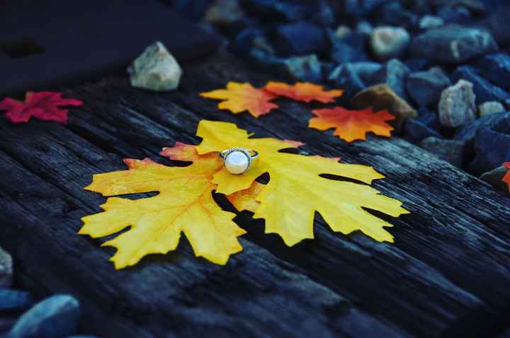 My Engagement Ring