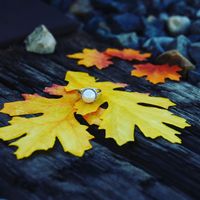 My Engagement Ring