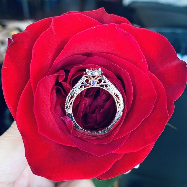 Brides of 2022 - Show Us Your Ring! 25