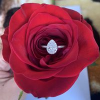 Brides of 2022 - Show Us Your Ring! - 1